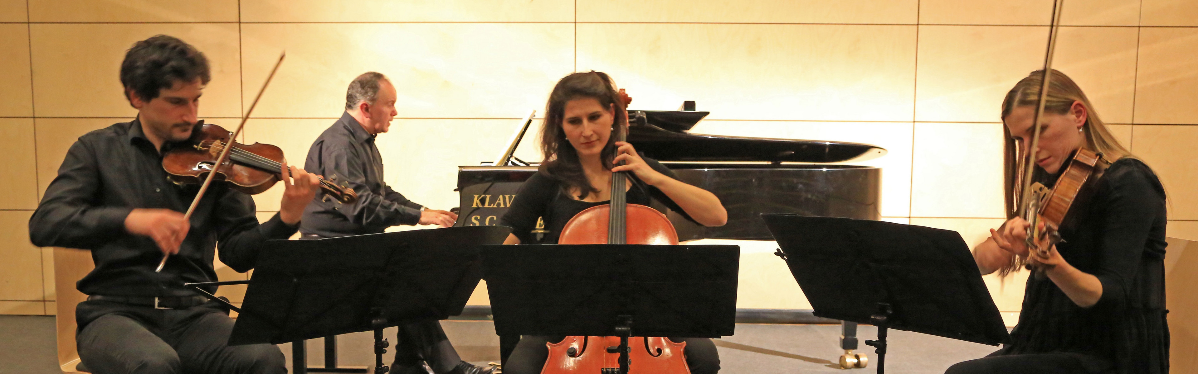 Aleksic Trio