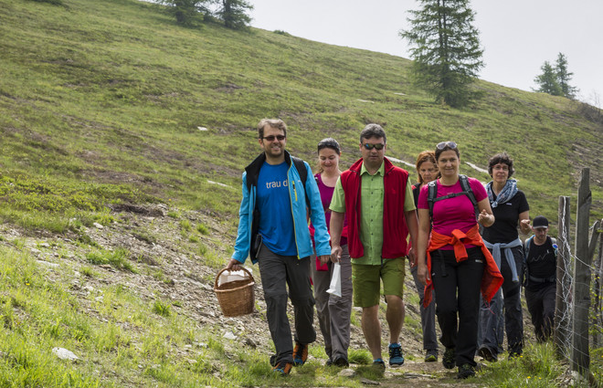 Kräuterwanderung mit Richard