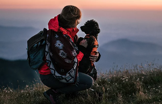 Traveling with your dog Person mit Hund während des Sonnenuntergangs im Resort