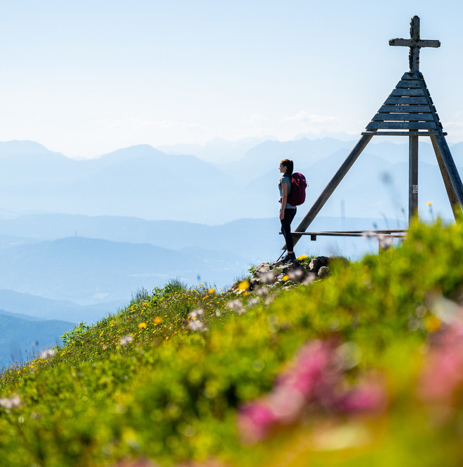 Frühlings-Aufblühen