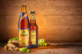 Hirter Bier