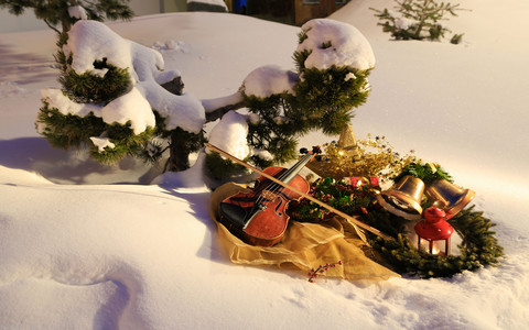 Geige liegt im Schnee