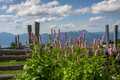Feuerberg, Gerlitzen, austria, carinzia, kaernten, oesterreich, Österreich