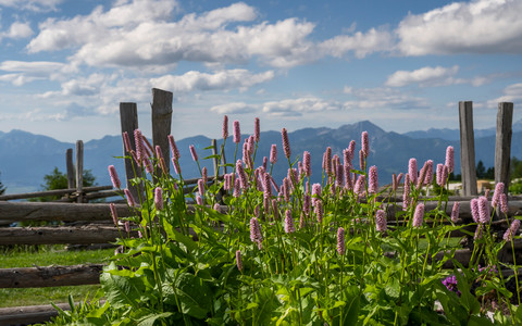 Feuerberg, Gerlitzen, austria, carinzia, kaernten, oesterreich, Österreich