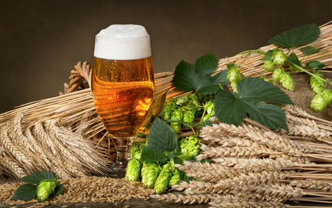Verschiedene Biersorten im Genussurlaub im Hotel Feuerberg in Kärnten