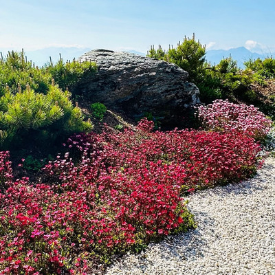 Was für ein Traumtag! Die Sommersaison feiert ihren Auftakt auf magische Weise: Die Sonne wärmt Herz und Haut, die Pools dampfen in der Almluft, und die Terrassengärten stehen in voller Blüte.