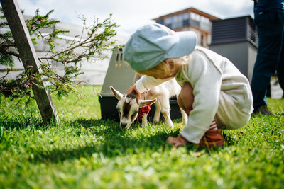 Almluft in der Nase, flauschige Begegnungen ganz nah Wenn Kinder fröhlich lachen, Ziegen um die Wette springen und Alpakas geduldig ihre Köpfe neigen, ist Sommer auf der Gerlitzen.