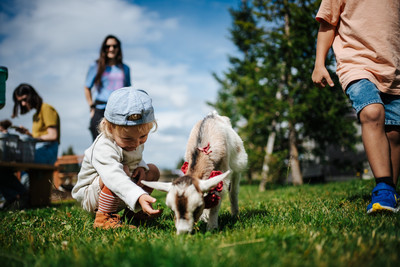 Almluft in der Nase, flauschige Begegnungen ganz nah Wenn Kinder fröhlich lachen, Ziegen um die Wette springen und Alpakas geduldig ihre Köpfe neigen, ist Sommer auf der Gerlitzen.