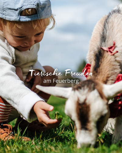 Es sind die kleinen Momente, die am meisten in Erinnerung bleiben. Wenn Kinder Tieren ganz nah kommen, sie neugierig beobachten, streicheln und dabei ganz im Moment sind.